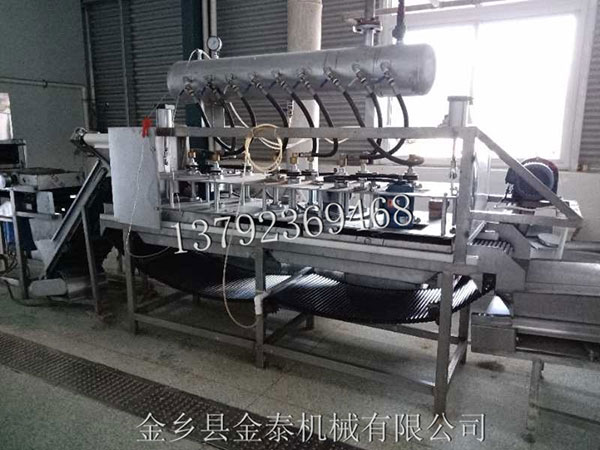 大蒜脫皮機是采用什么原理設(shè)計