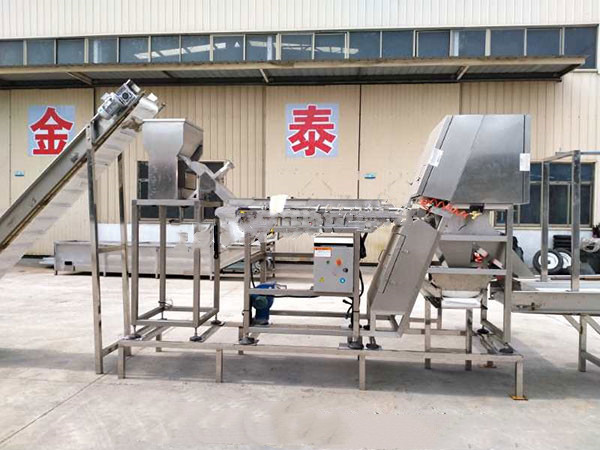 山東大蒜脫皮機